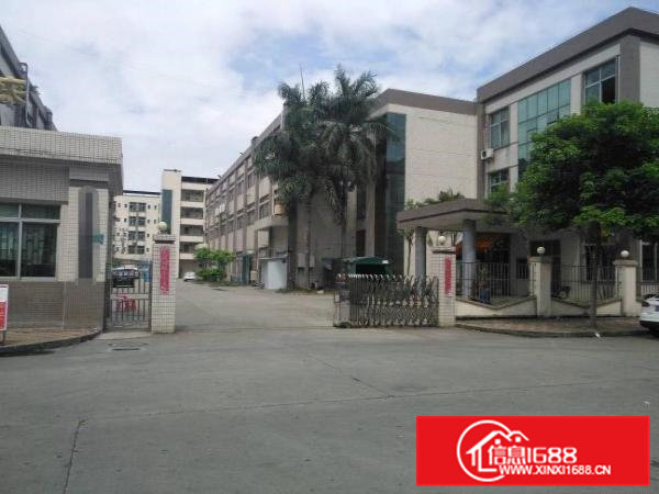 横沥镇三江工业区一手房东厂房7000平米招租