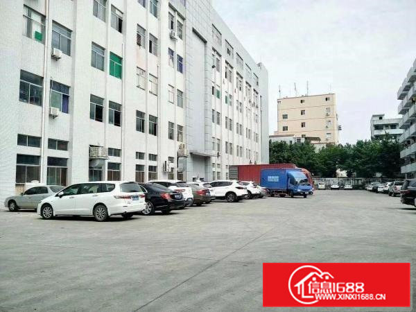 凤岗官井头精装修厂房出租1300平方近龙岗大运城邦