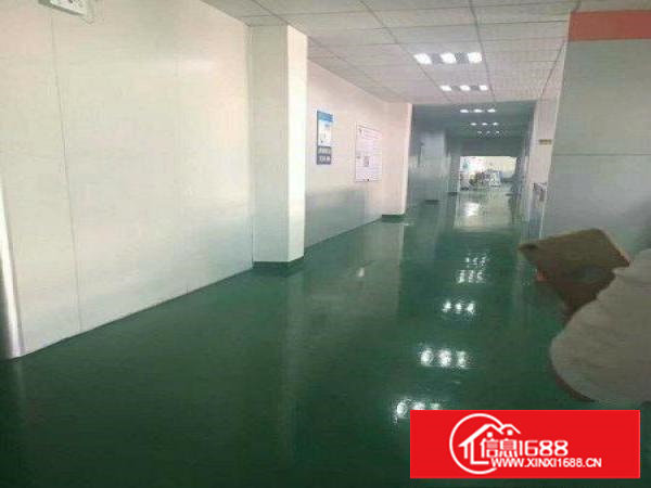 塘厦临清溪,独院超靓1400,全新豪华装修,租17