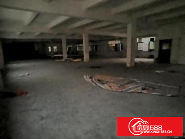 龙岗海吉星批发市场附近厂房仓库招租