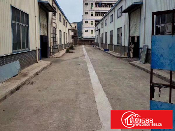 清溪镇三中原房东独院钢构厂房1650平方，现成办公室水电急租