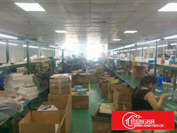 沙井小面积100平方500平米装修厂房出租可一楼贸易办公