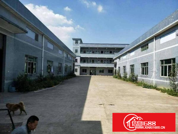 企石镇自建厂房5005000平方厂房出租