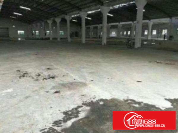 万江独院单一层钢构厂房出租2300平出租可分租