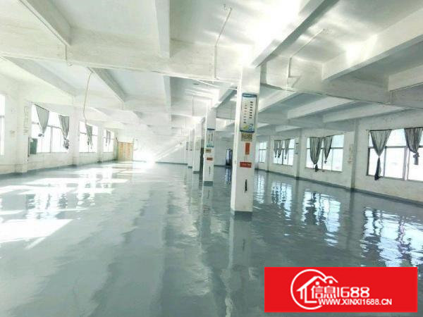 六约新出原房东独院厂房二楼965平方精装修