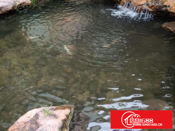 寮步石龙坑独院厂房出租一楼1100平，做精密五金，机械等行业