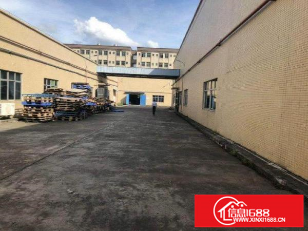 博罗8万钢结构厂房招租可做有污染行业配电6千