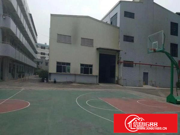 寮步新出钢结构5000方，可以任意分租