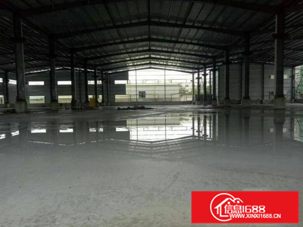 企石全新独院钢构单一层6000平出租，带牛角