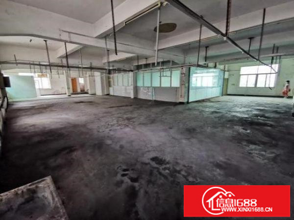 实际面积1100平20块原房东厂房