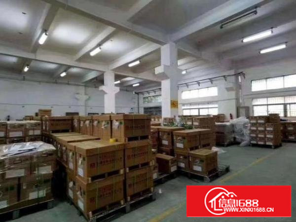 沙井步涌同富裕原房东一楼1100平高六米带牛角花园式厂房出租