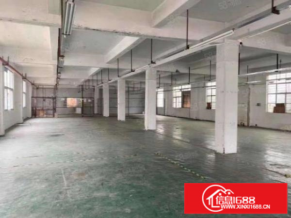 松岗107国道边新出独院2500平方厂房出租