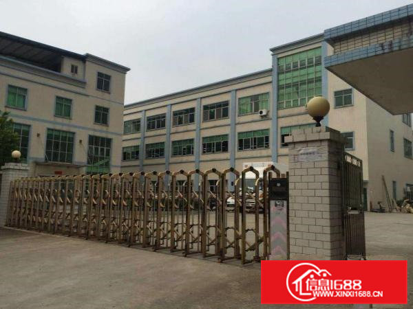 茶山镇新出原房东独院标准厂房3600平方出租