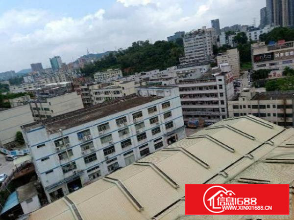 业主直租一楼钢构厂房石岩石龙仔