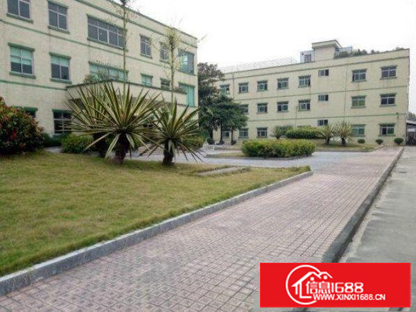 龙岗区五联原房东一楼800平方低价出租