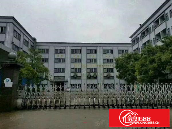 大岭山森林公园新出二楼960平带精装修免转让费