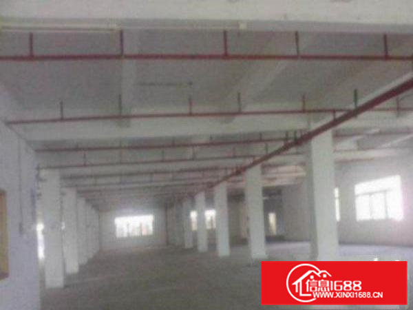 高埗工业区独院标准一楼1000平方招租水电齐全适合机械、五金