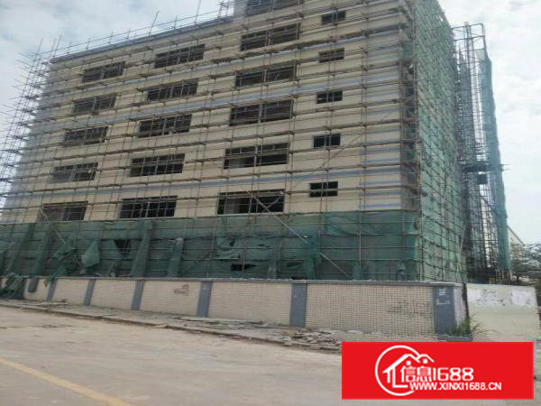 常平全新独院6层带电梯厂房招租