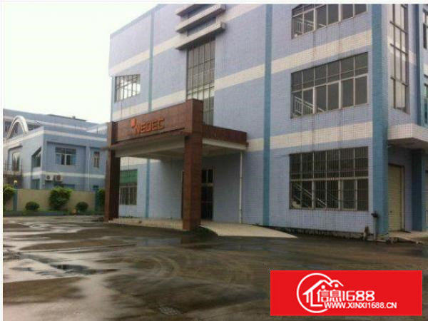 桥头禾坑现有厂房一楼1200平方急租