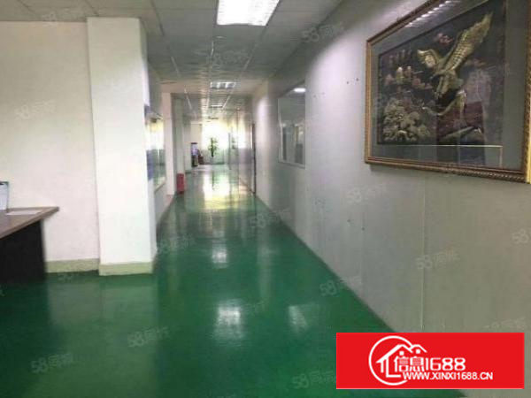 金凤凰独院现成装修厂房23000平方只租9.9元10元都不到