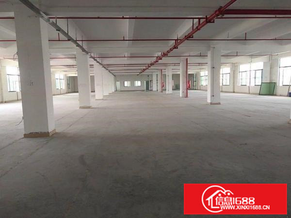 寮步横坑厂房每层1600平方，形象好，货车进出方便