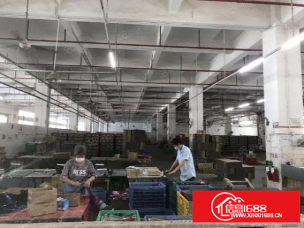 原房东独院4层10000平米;可分租带消防喷淋工业用地