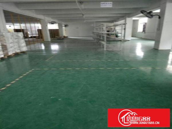 龙岗爱联新出原房东独门独院900平标准厂房招租