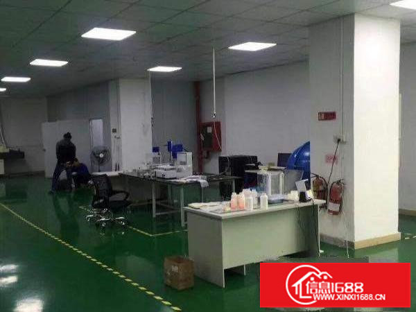 坪山金碧路边一楼780平厂房招租，带装修办公室