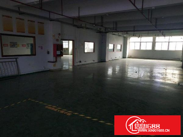 坂田上雪科技城厂房仓库160平200平米出租
