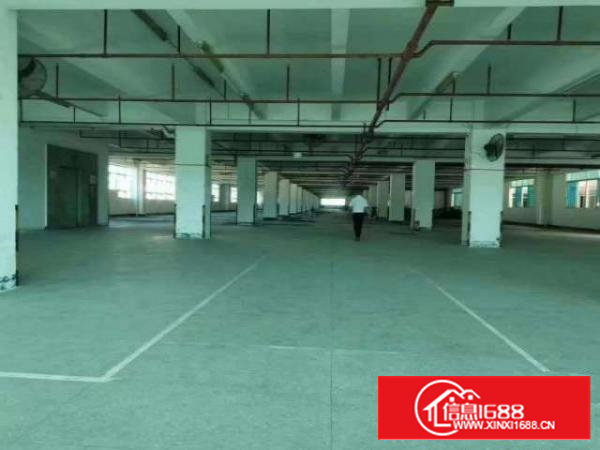 沙井107国道新桥第三工业区一楼500到1000平厂房出租。