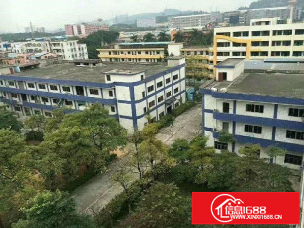 清溪靠塘厦13元楼上2600平方花园式厂房出租