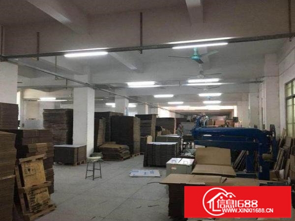 平湖新出独门独院标准厂房3300平方米出租可分租