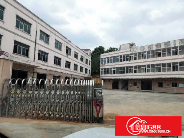 【出租龙岗区平湖厂房】平湖新出1380平精装修厂房招租