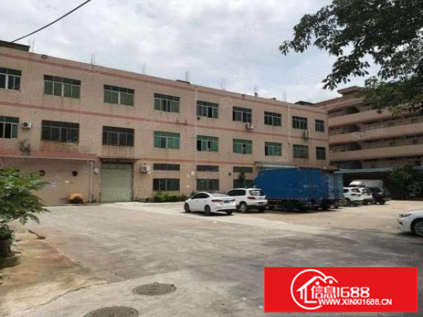 龙岗嶂背新出工业园1000平标准厂房出租国道边上带消防喷淋