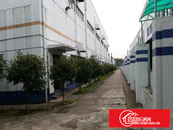 塘厦钢构独院22140平方滴水10米电量充足可分租