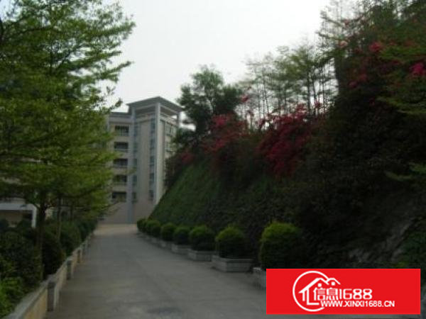 横岗六约原房东厂房出租1502001800大小可分租