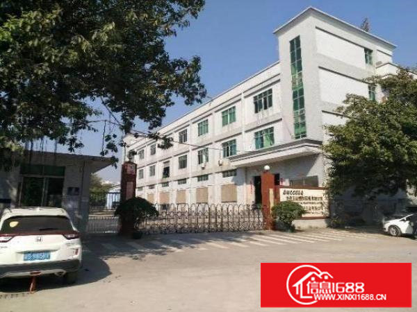 龙岗南联厂房出租一楼500平带装修厂房