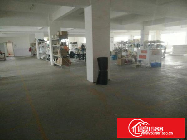 原房东标准一楼1000平高5米带三吨电梯有空地