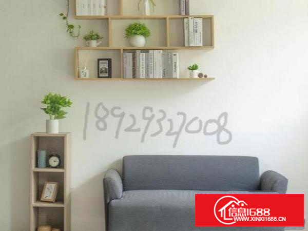 小面积非中介220平方精装办公室厂房出租龙华大浪南路