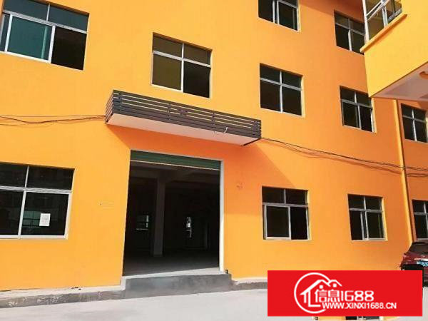 平湖大皇宫附近全新厂房出租