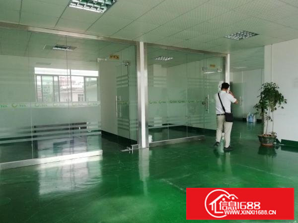 龙华天虹附近新出700平厂房带精装修无转让费出租