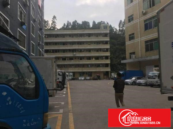 布吉丹竹头新空出豪华装修办公仓库368平方出租