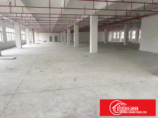 东莞厂房标准厂房超大空地精装修办公室入驻即生产便宜租