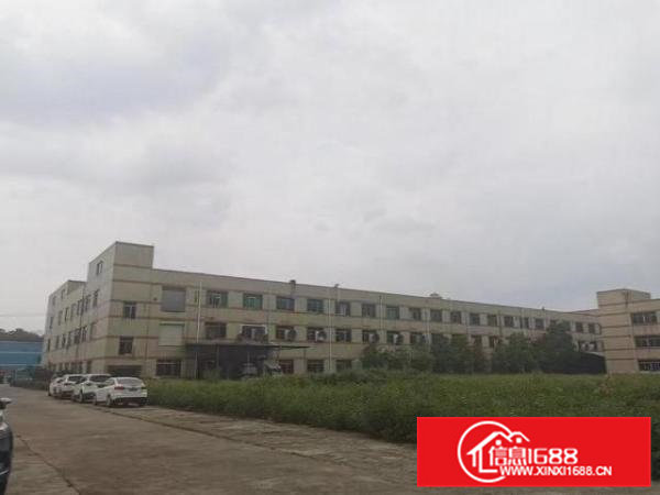 黄江独门独院厂房出租占地35000平方集体流转带房产证