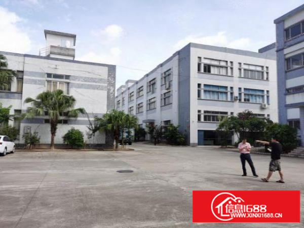 万江石美工业区新出标准厂房一楼600平方