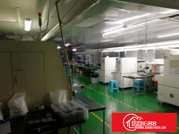 大浪上横朗浦华科技园500平方带无尘车间低价转让