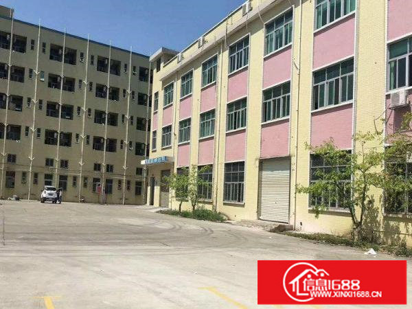 布吉木棉湾百鸽笼仓库200平500平5000平大小分租