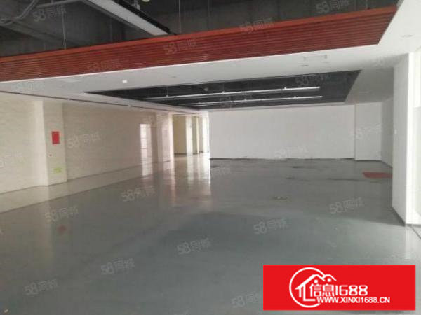 沙湾樟树布现成装修厂房160平280平360平500平