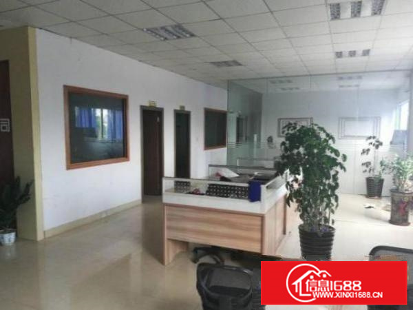 精装修！松岗南西村新出1楼1200方厂房，空地免费