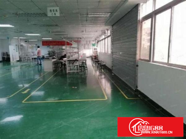 清溪铁场村650平米带装修红本厂房出租形象好